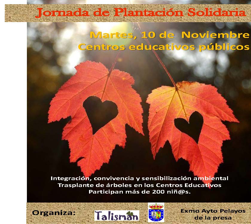 Jornada de Plantación Solidaria