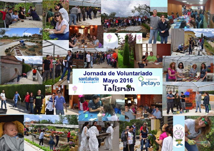 Jornada de Voluntariado con Fundación Pelayo y Santa Lucia Seguros