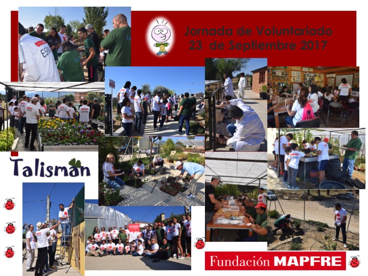 Jornada de Voluntariado con Fundación Mapfre